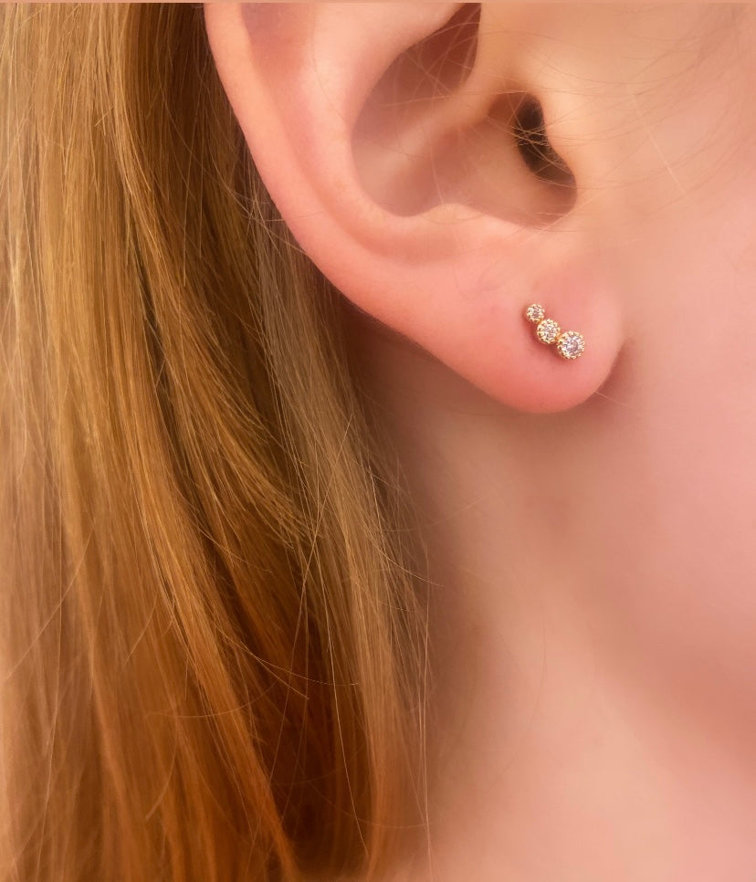 Puce d' oreilles LEE