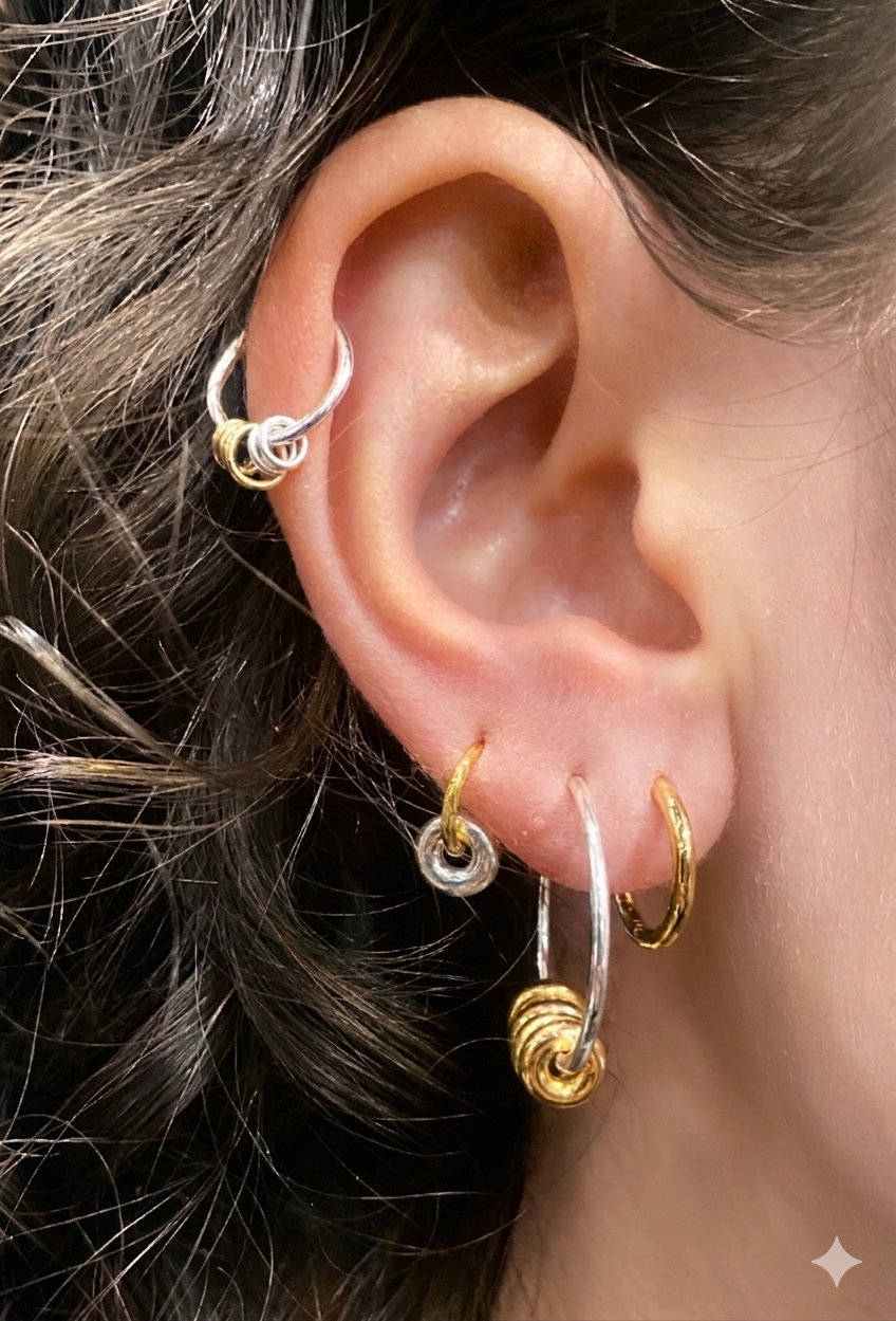 Anneau d' oreilles punky ring