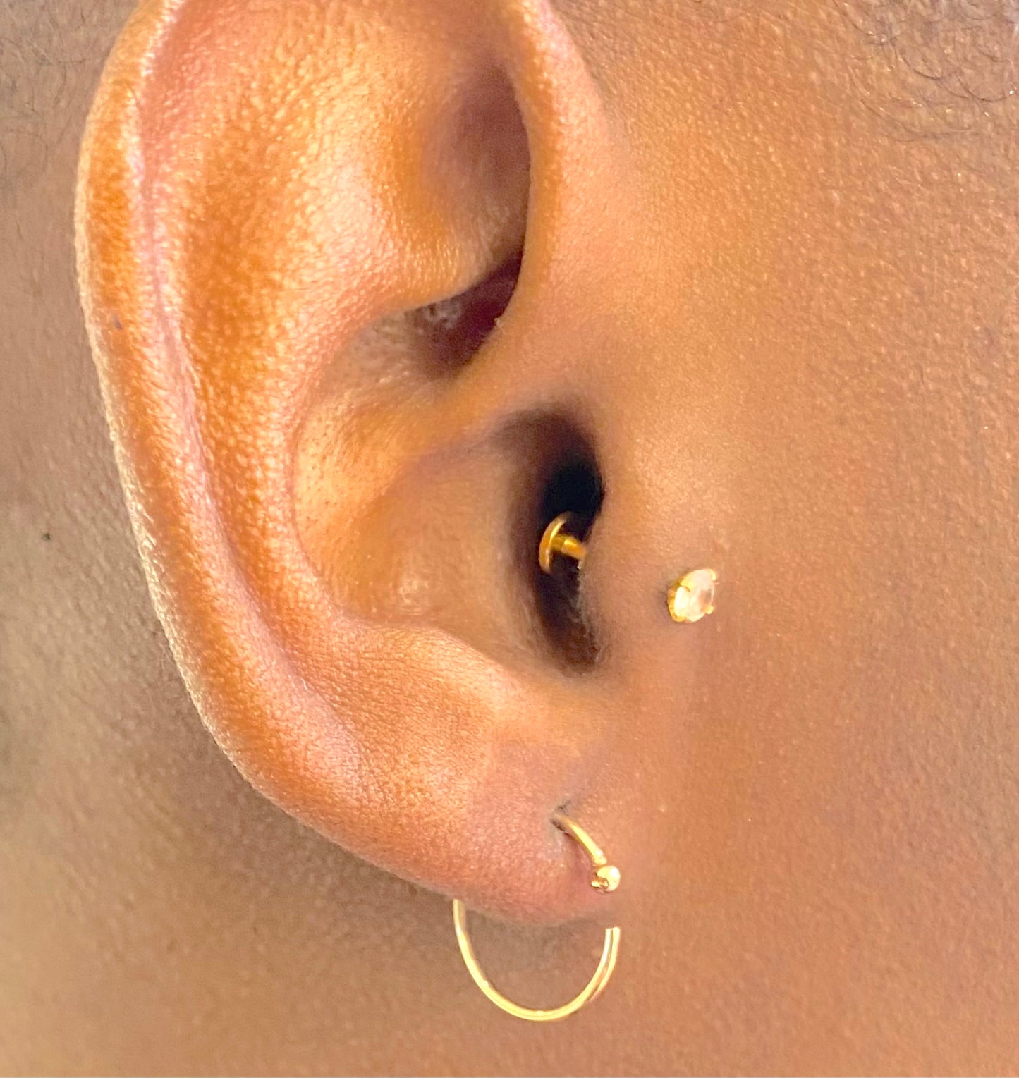 Anneaux d'oreilles / piercing circle