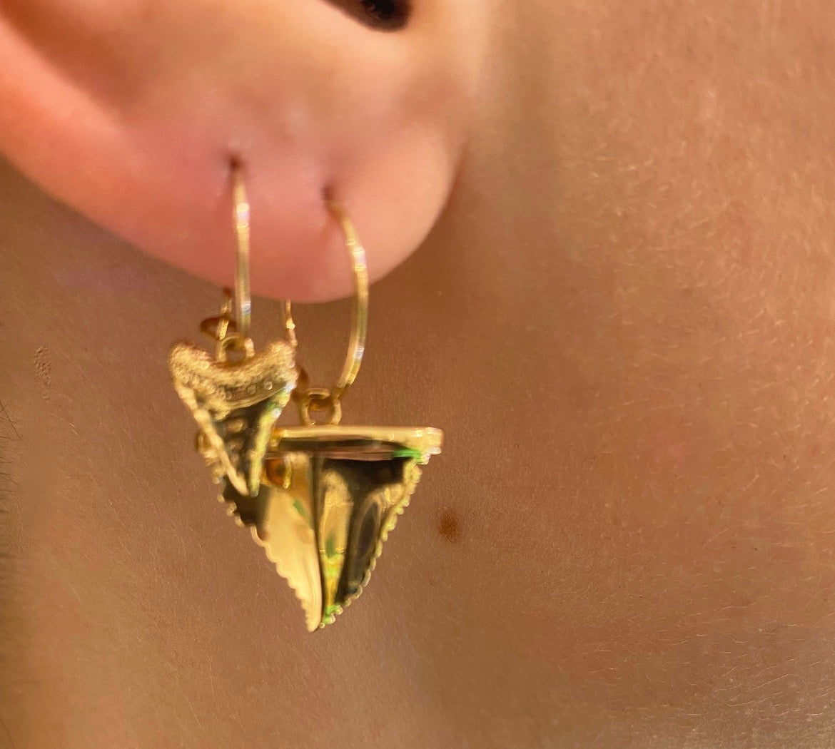 Boucle d'oreilles /  earrings shark