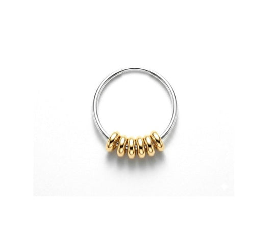 Anneau d' oreilles punky ring