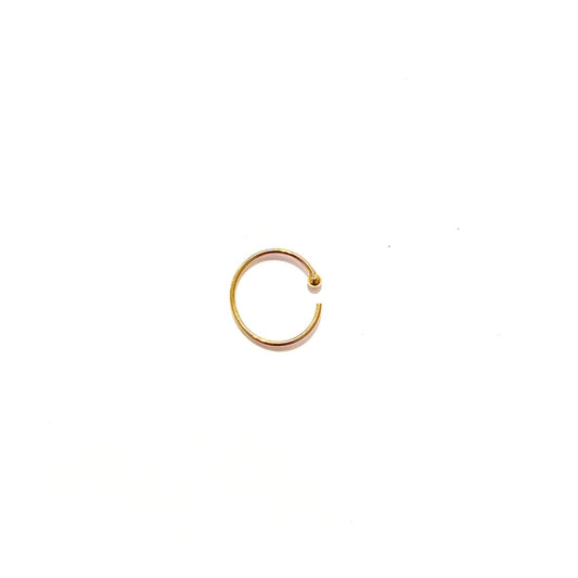 Anneaux d'oreilles / piercing circle